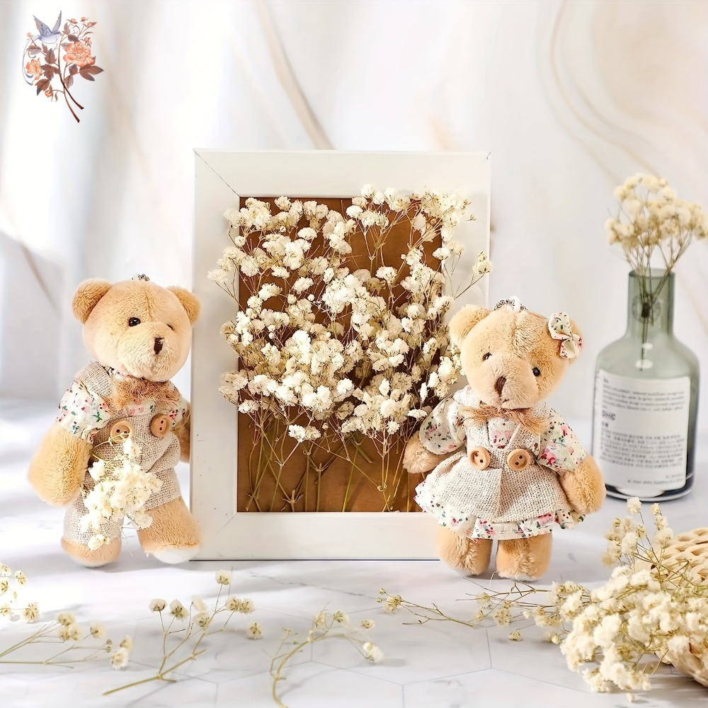 100 Stück Mini Getrocknete Sch – Craft Embellishments Bewertung und Preis
